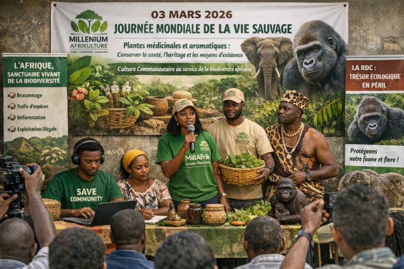 whatsapp image 2026 03 04 at 10.01.42